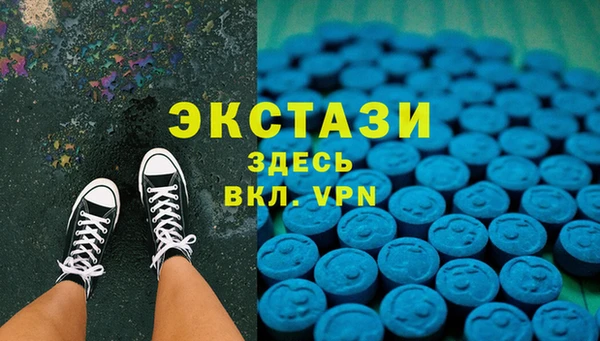шишки Аркадак