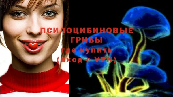 мет Арсеньев