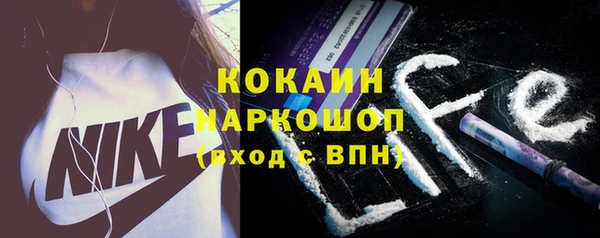 шишки Аркадак