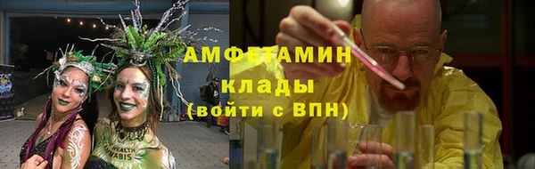 шишки Аркадак