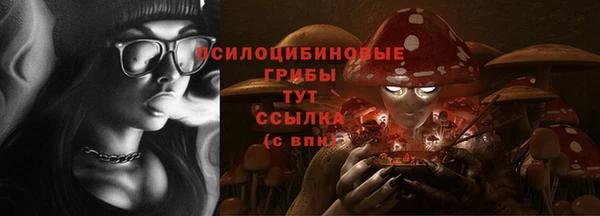 шишки Аркадак