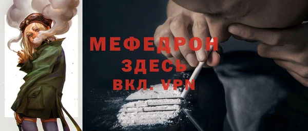 шишки Аркадак