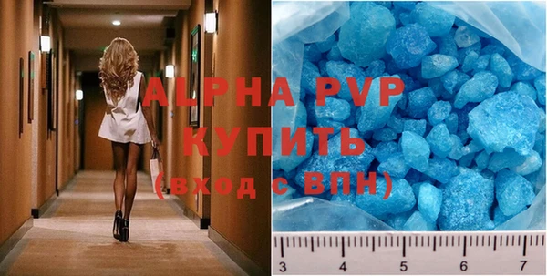 шишки Аркадак