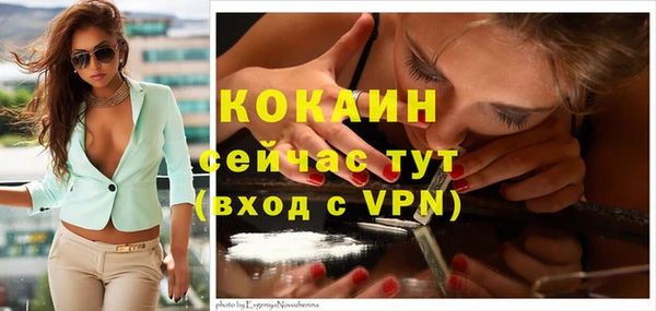шишки Аркадак